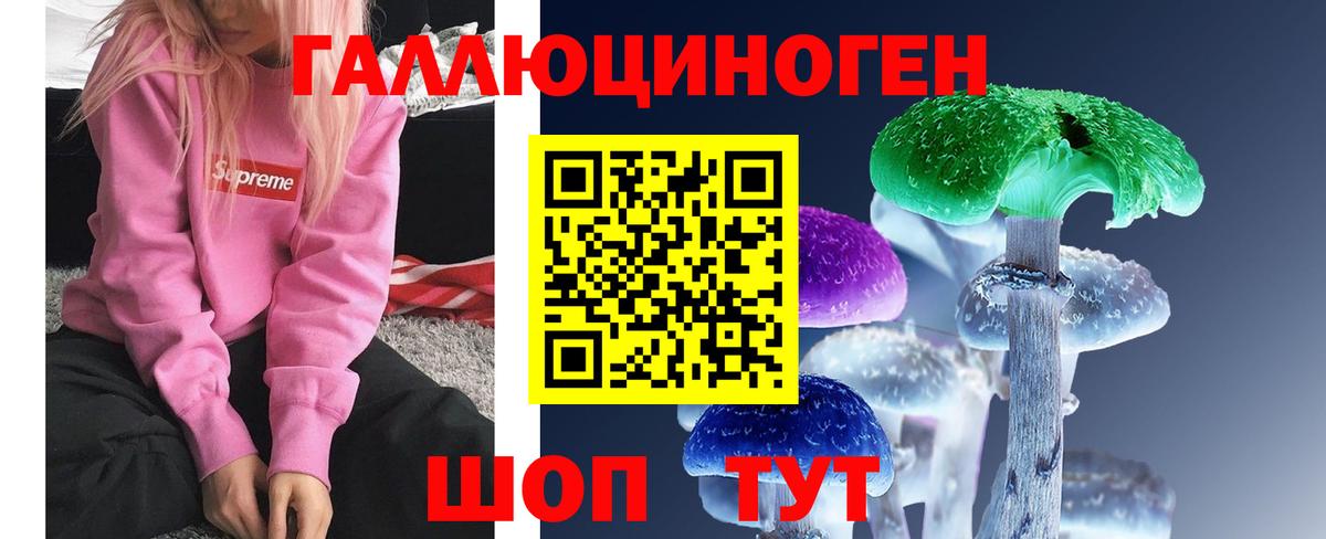 Галлюциногенные грибы ЛСД Чебоксары